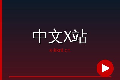 中文X站
