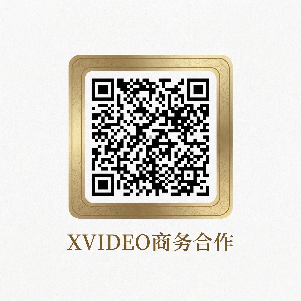 中文X站商务合作二维码